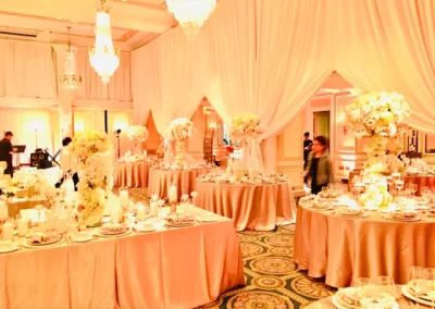 PIPE AND DRAPE