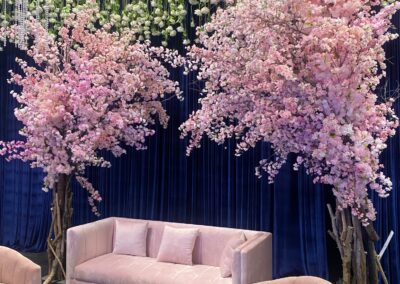 CHERRY BLOSSOM TREE RENTAL